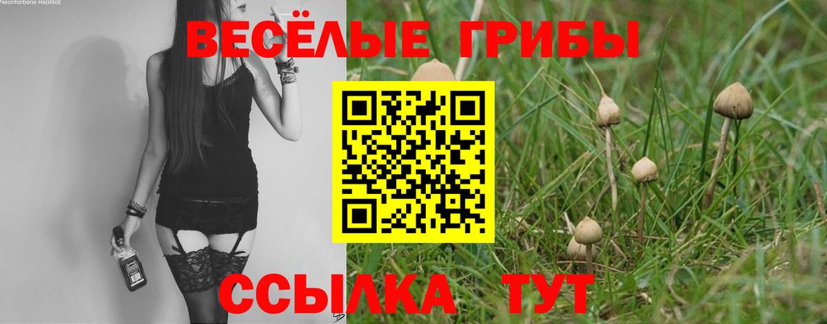 Галлюциногенные грибы мухоморы Ялта